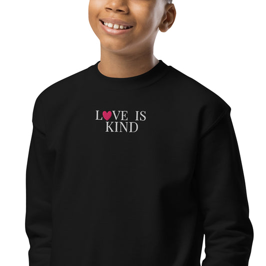 embroidered sweatshirt that reads love with a pink heart as the "o" is kind, Love is kind is in white on a black sweatshirt crewneck on a model